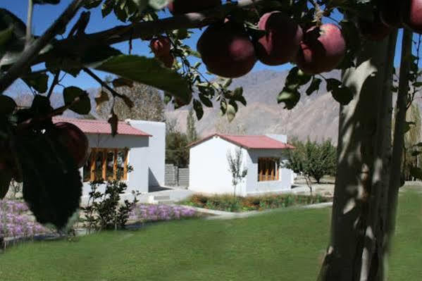 Himalayan Eco Resort Hundar Kültér fotó