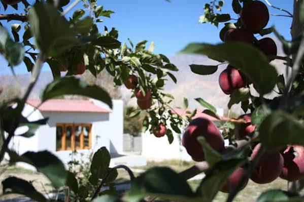 Himalayan Eco Resort Hundar Kültér fotó